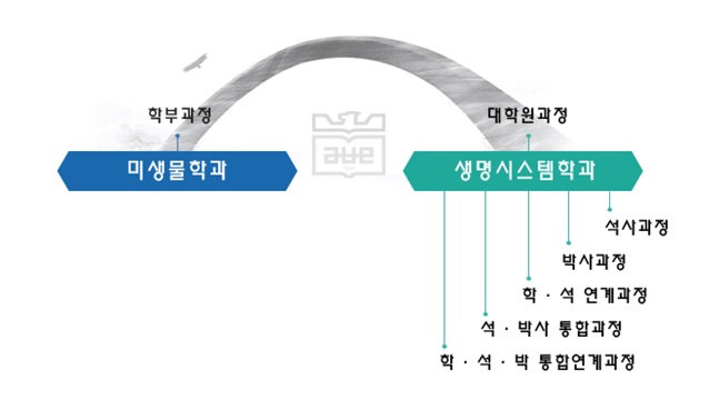 학과소개