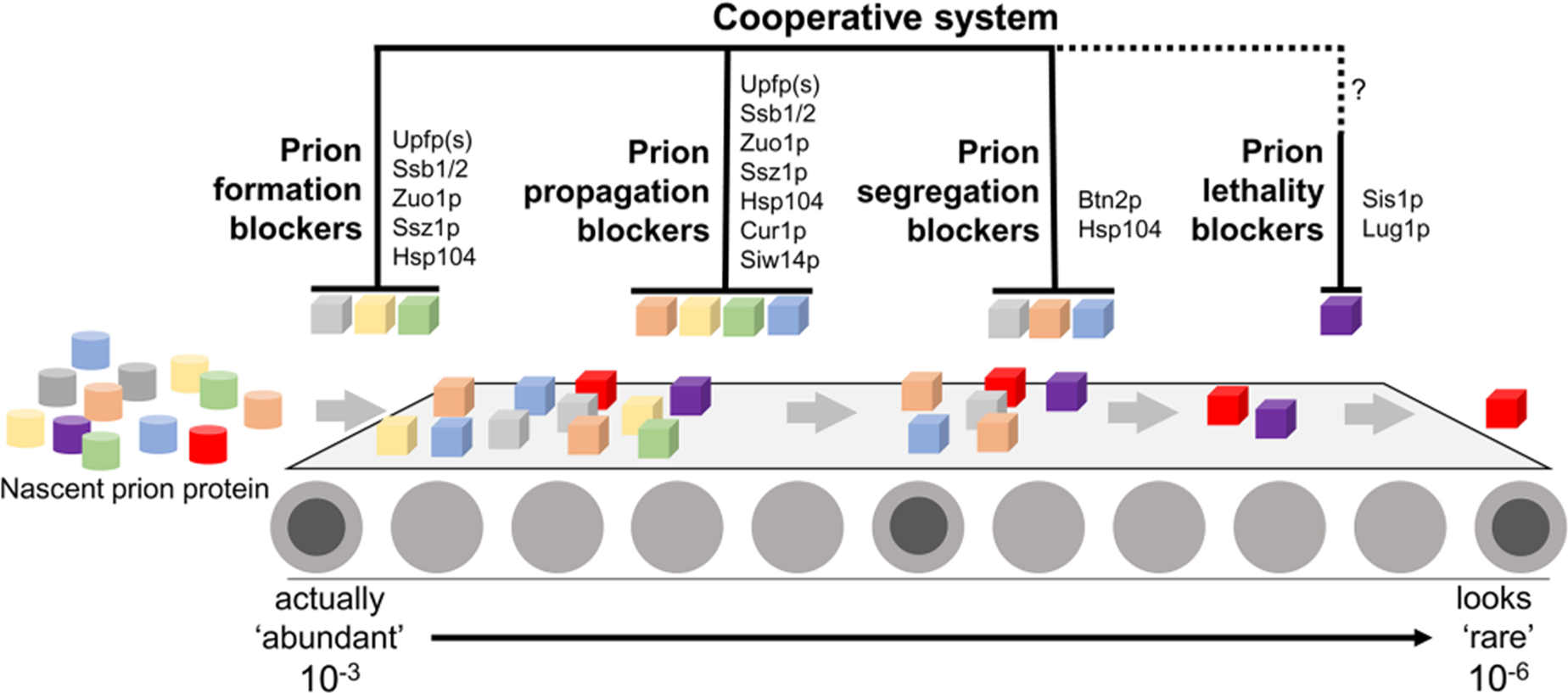 미생물병리학실험실