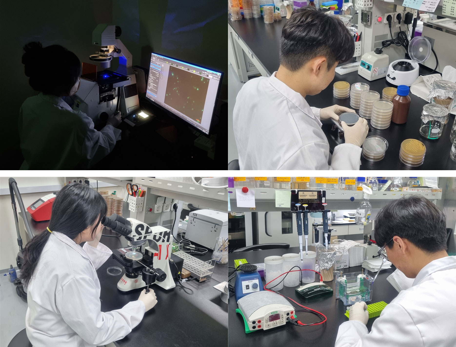 미생물병리학실험실