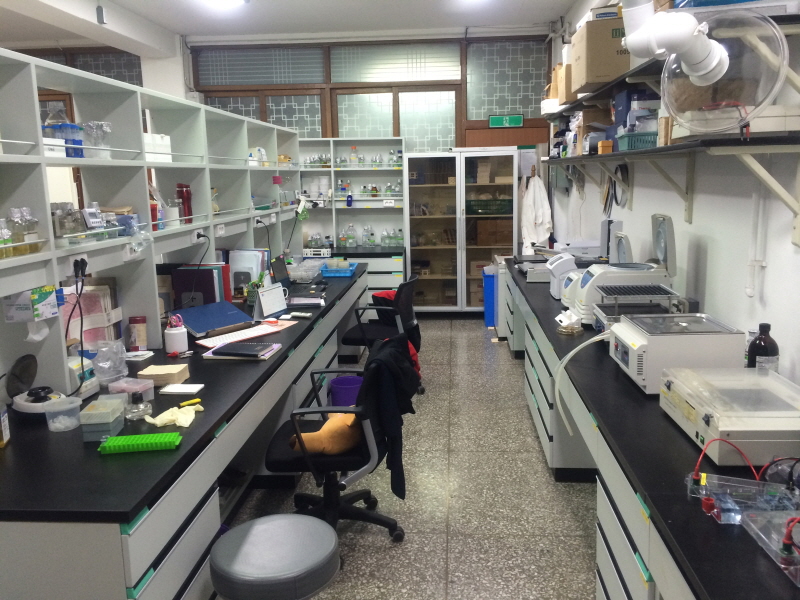 미생물 항생제어 실험실