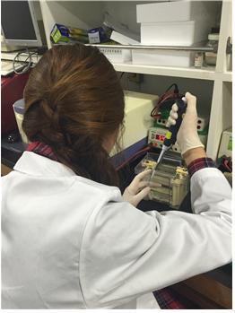 바이러스학실험실