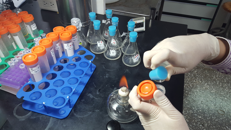 분자미생물학실험실