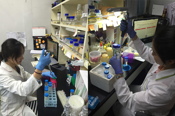 식품미생물학실험실